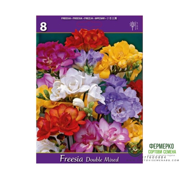 Фрезия Двойна Микс Freesia Double Mixed - 8 бр луковици