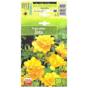 Фрезия Жълта  / Freesia Zolta- 10 бр луковици