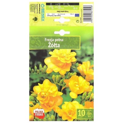 Фрезия Жълта  / Freesia Zolta- 10 бр луковици