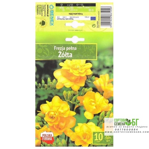 Фрезия Жълта  / Freesia Zolta- 10 бр луковици