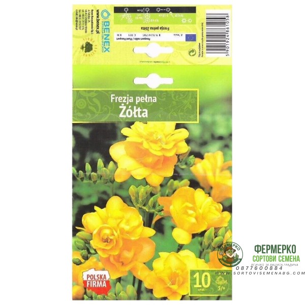 Фрезия Жълта Freesia Zolta- 10 бр луковици