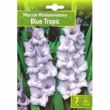 Гладиоли Син Тропик Gladiolus L - 7 бр луковици