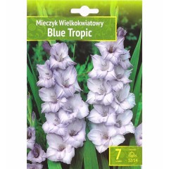 Гладиоли Син Тропик Gladiolus L - 7 бр луковици