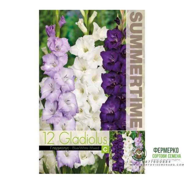 Гладиоли Синьо-Бял Микс Gladiolus L - 12 бр луковици