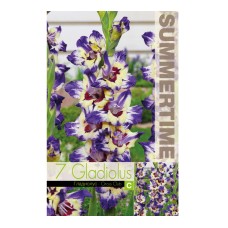 Гладиоли Circus Club Gladiolus L - 7 бр луковици