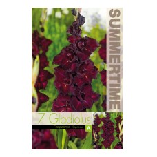 Гладиоли Espresso Gladiolus L - 7 бр луковици