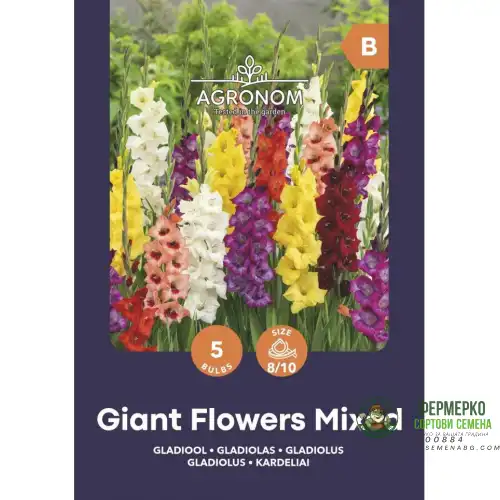 Гладиоли Гигант Микс / Giant Flowers Mix - 5 бр луковици