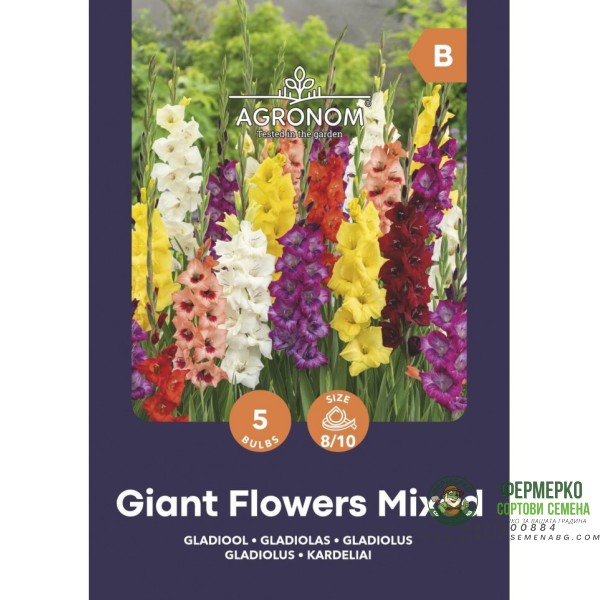 Гладиоли Гигант Микс Giant Flowers Mix - 5 бр луковици