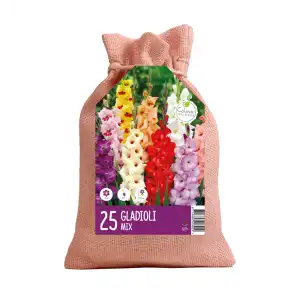 Чанта с Гладиоли Микс / Gladiolus - 25 бр луковици