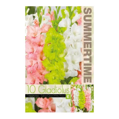 Гладиоли Микс Сьомга-Зелена-Бяла / Gladiolus L - 10 бр луковици