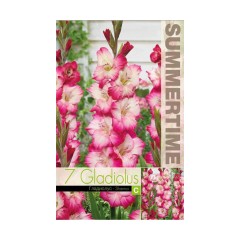 Гладиоли Shanna Gladiolus L - 7 бр луковици