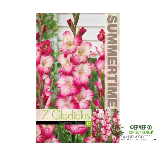 Гладиоли Shanna Gladiolus L - 7 бр луковици