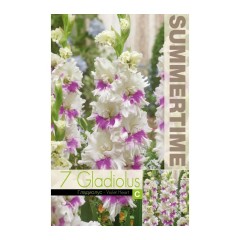 Гладиоли Виолетово сърце Gladiolus L - 7 бр луковици