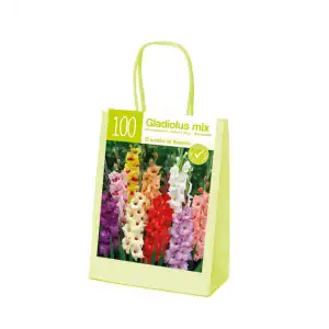 Чанта с Гладиоли Микс XL / Gladiolus - 100 бр луковици