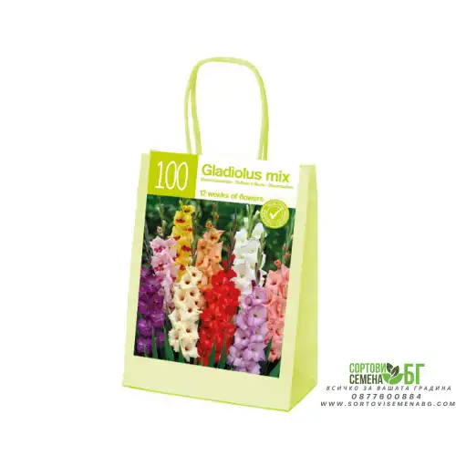 Чанта с Гладиоли Микс XL / Gladiolus - 100 бр луковици Чанта с Гладиоли Микс XL / Gladiolus - 100 бр луковици
