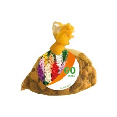 Чанта Гладиоли Микс Gladiolus Bag Mixed - 60 бр луковици