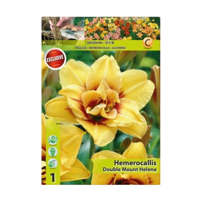 Хемерокалис / Hemerocallis Double Mount Helena - 1 бр луковица