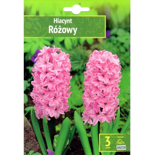 Зюмбюл Източен Розов / Hyacinthus orientalis Rozowy - 3 бр луковици Зюмбюл Източен Розов / Hyacinthus orientalis Rozowy - 3 бр луковици