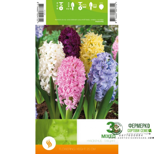 Зюмбюл Микс Hyacinthus Mixed - 3 бр луковици