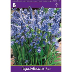 Лъжезюмбюл Синя камбанка / Hyacinthoides blue - 8 бр луковици