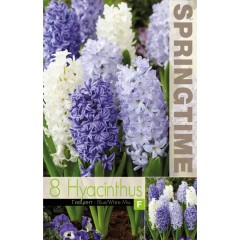Зюмбюл Синьо Бяло Микс Hyacinthus Blue White Mixed - 8 бр луковици