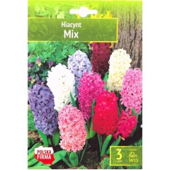 Зюмбюл Източен Микс Hyacinthus orientalis Mixed - 3 бр луковици