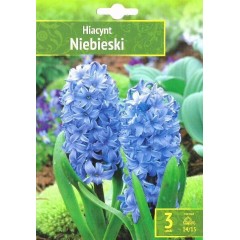 Зюмбюл Източен Небесен Hyacinthus Niebieski - 3 бр луковици