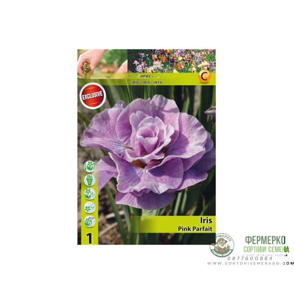 Ирис Перфектно розов Iris Pink Parfait - 1 бр луковица