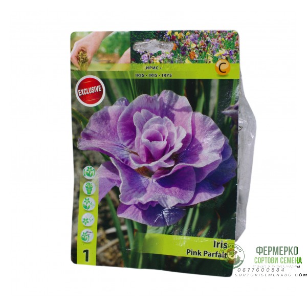 Ирис Перфектно розов Iris Pink Parfait - 1 бр луковица