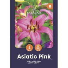 Лилиум Розов Lilium Asiatic Pink - 2 бр луковици