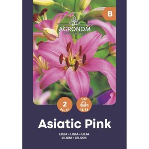 Лилиум Розов / Lilium Asiatic Pink - 2 бр луковици
