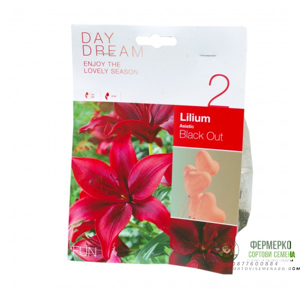 Лилиум Black Out Lilium L - 2 бр луковици