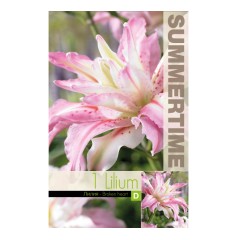 Лилиум Разбито сърце Lilium Broken heart - 1 бр луковица