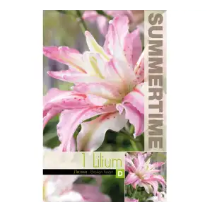 Лилиум Разбито сърце / Lilium Broken heart - 1 бр луковица