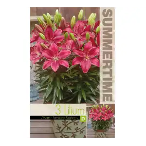Лилиум Фантастична Малина / Lilium Fantastic Raspberry - 3 бр луковици