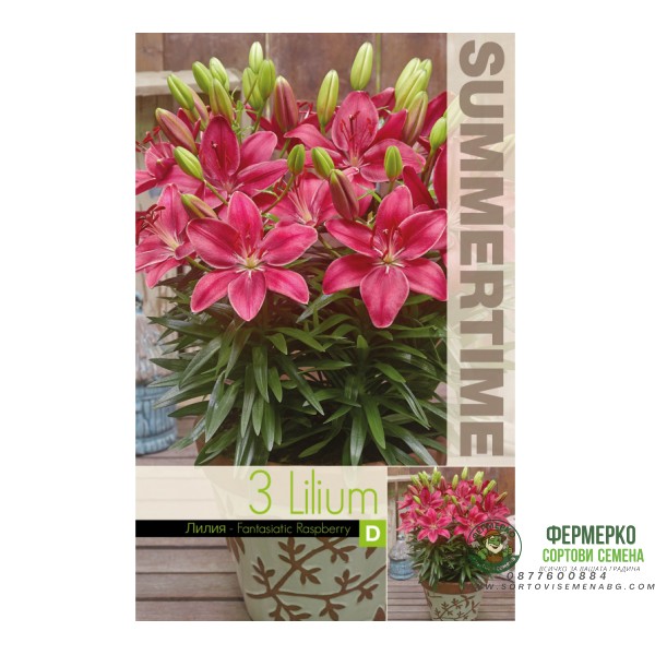 Лилиум Фантастична Малина Lilium Fantastic Raspberry - 3 бр луковици