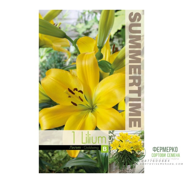 Лилиум Goldwing Lilium L - 1 бр луковица