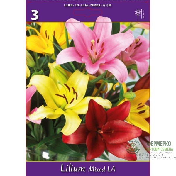 Лилиум Микс L.A. Lilium Mixed L.A. - 3 бр луковици Лилиум Микс L.A. Lilium Mixed L.A. - 3 бр луковици