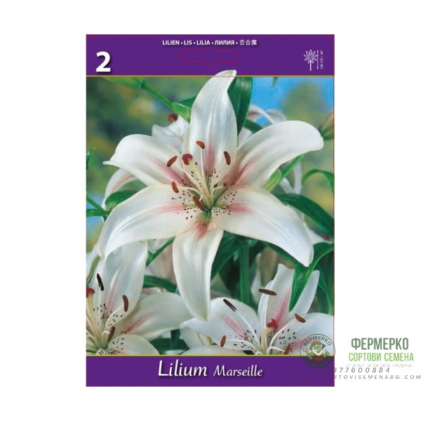 Лилиум Марсил Lilium Marseille - 2 бр луковици