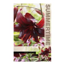 Лилиум Night Flyer Lilium L - 1 бр луковица