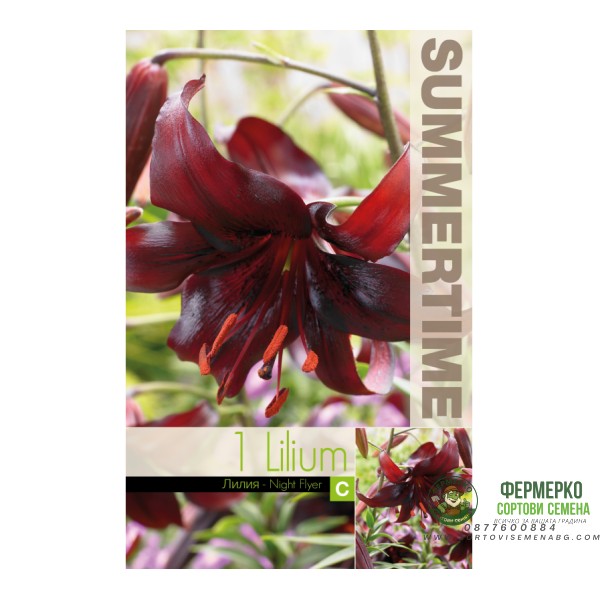 Лилиум Night Flyer Lilium L - 1 бр луковица