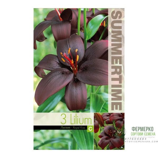 Лилиум Кралска Целувка Lilium Royal Kiss - 3 бр луковици