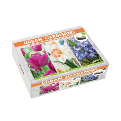 Луковици Микс - Лале Passionale, Нарцис Pink Charm, Хинодокса Chionodoxa luciliae - 25 бр луковици