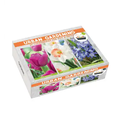 Луковици Микс - Лале Passionale, Нарцис Pink Charm, Хинодокса Chionodoxa luciliae - 25 бр луковици