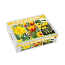 Луковици Микс - Лале Kees Nelis, Нарциси Rip Van Winkle, Минзухар Crocus fuscotinctus - 25 бр луковици