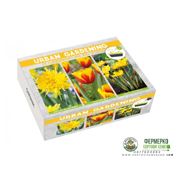 Луковици Микс - Лале Kees Nelis, Нарциси Rip Van Winkle, Минзухар Crocus fuscotinctus - 25 бр луковици