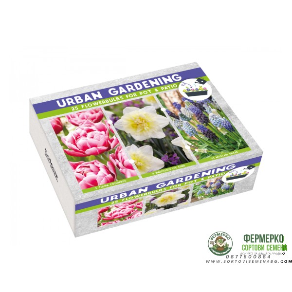 Луковици Микс - Нарцис Ice King, Мускари Mix, Лале Melrose - 25 бр луковици