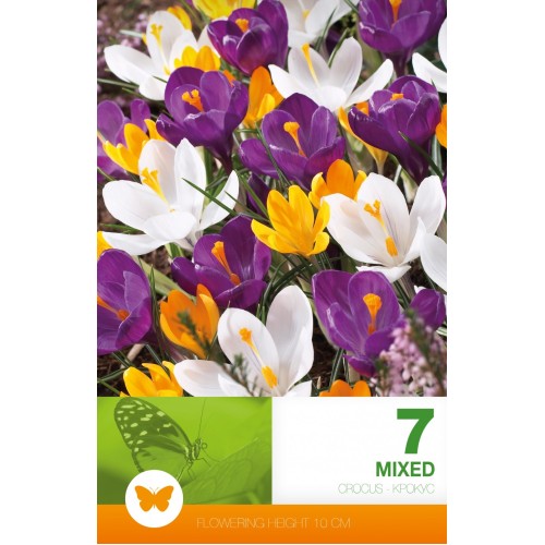 Минзухар Пролетен Микс / Crocus vernus - 7 бр луковици