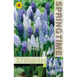 Мускари (кукувиче грозде) Микс / Muscari Mixed - 10 бр луковици