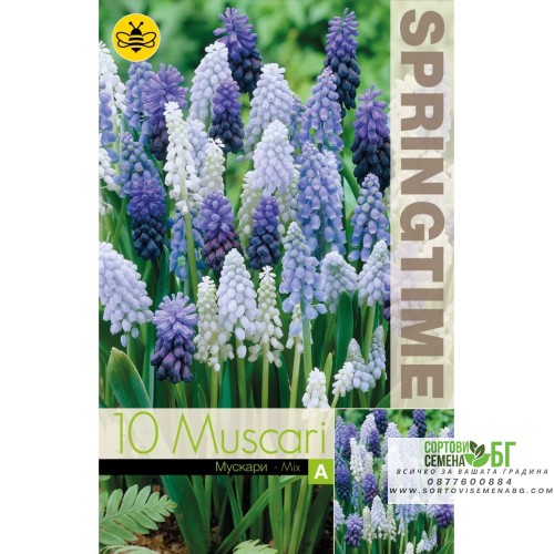 Мускари (кукувиче грозде) Микс / Muscari Mixed - 10 бр луковици